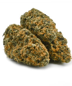Citrix marijuana strain